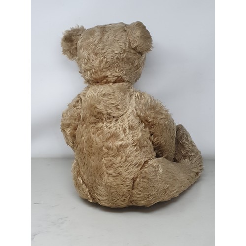 306A - A Steiff centre seam golden mohair Teddy Bear, c.1909 with button in right ear, 22in H A/F