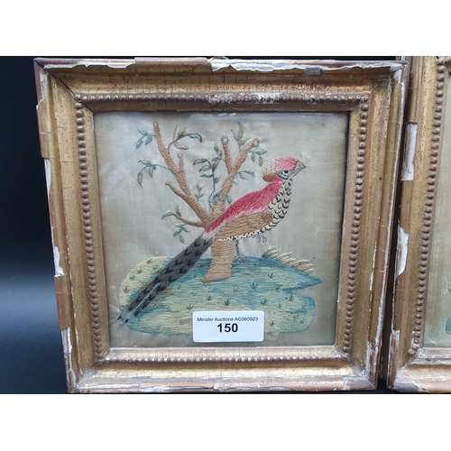 150 - Two 19th Century needlework Pictures of exotic birds perched on branch, etc, approx 5 x 6in, in gilt... 