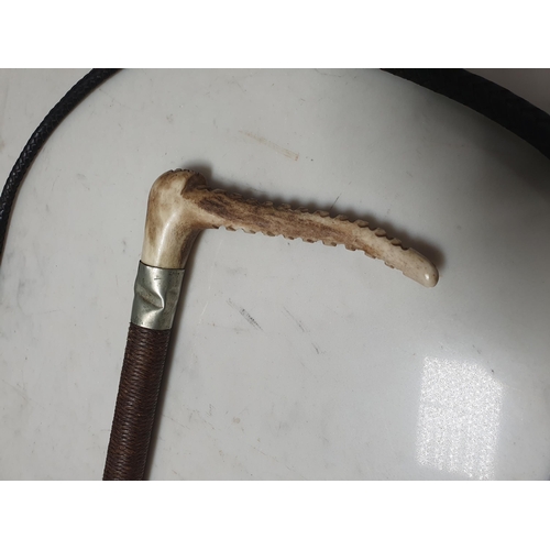 2 - A ladies horn handled Hunting Whip. (R1).