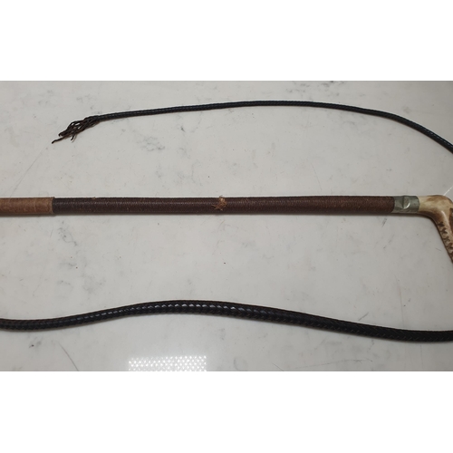 2 - A ladies horn handled Hunting Whip. (R1).