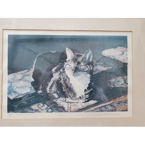 403 - LESLEY HOLMES. Study of a Cat, signed and dated 1996, watercolour; and twelve other paintings and pr... 