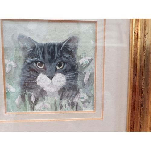 403 - LESLEY HOLMES. Study of a Cat, signed and dated 1996, watercolour; and twelve other paintings and pr... 