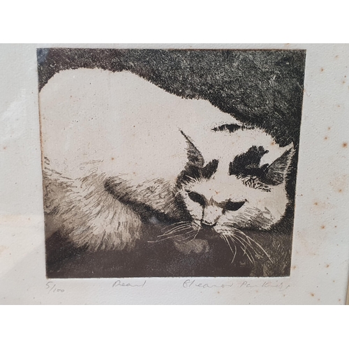 403 - LESLEY HOLMES. Study of a Cat, signed and dated 1996, watercolour; and twelve other paintings and pr... 