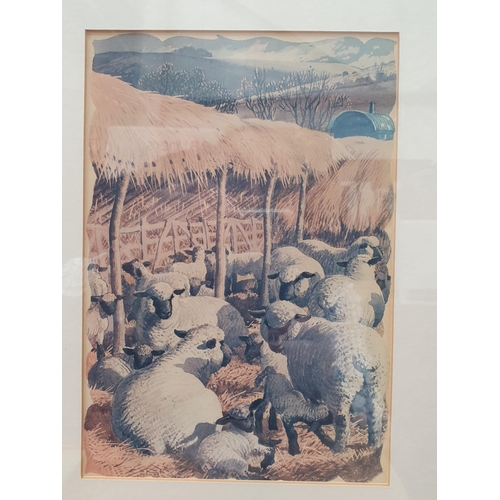 404 - Eleven Etchings and Prints of Sheep including Limited Editions by Lesley Holmes, etc