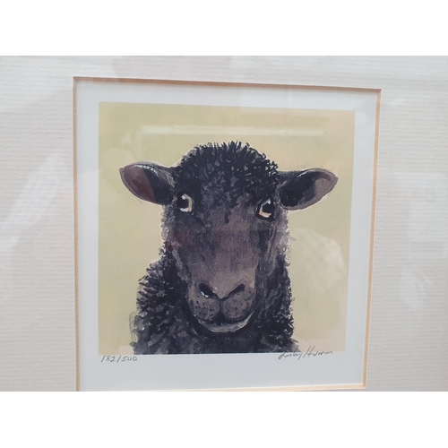 404 - Eleven Etchings and Prints of Sheep including Limited Editions by Lesley Holmes, etc