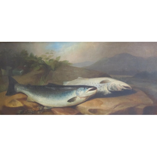 426 - MANNER OF  A. ROLAND KNIGHT. Salmon on rocks, a river landscape beyond, oil on canvas, 20 x 41¾in