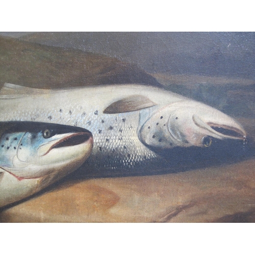 426 - MANNER OF  A. ROLAND KNIGHT. Salmon on rocks, a river landscape beyond, oil on canvas, 20 x 41¾in