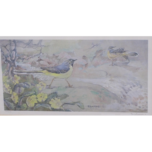 448 - ERIC ENNION. Great Wagtails; and Redback Shrike, colour prints, pencil signed and numbered 313/500, ... 