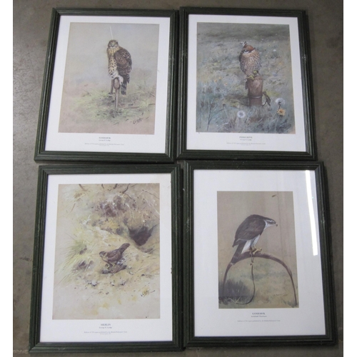 465 - DOROTHY KING. Capercaillie; Ptarmigan; and Crested Tits on Branches, signed, watercolour and gouache... 