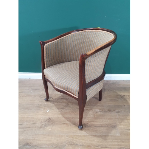 504 - An Edwardian mahogany Tub Chair (R4)