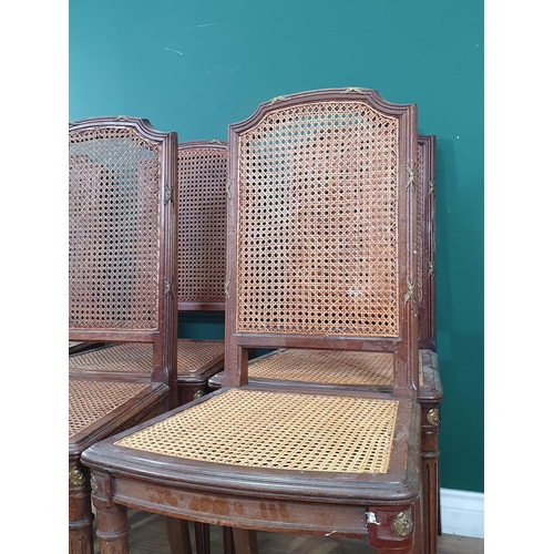 648 - A set of Six cane panelled Dining Chairs with brass mounts, reeded rails on turned and tapered suppo... 