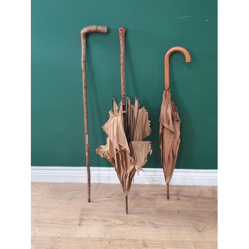 691 - Two Vintage Parasols A/F and a Walking Stick. (R7).