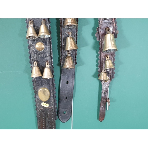 693 - A quantity of Shire Horse Bells on martingales. (R7).