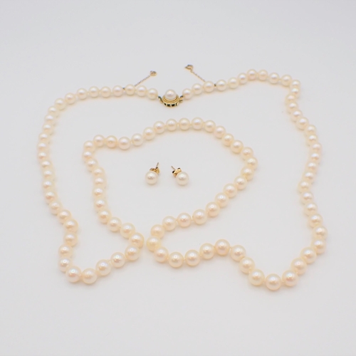 175 - An opera length string of Cultured Pearls on 14ct clasp set pearl together with matching Ear Studs