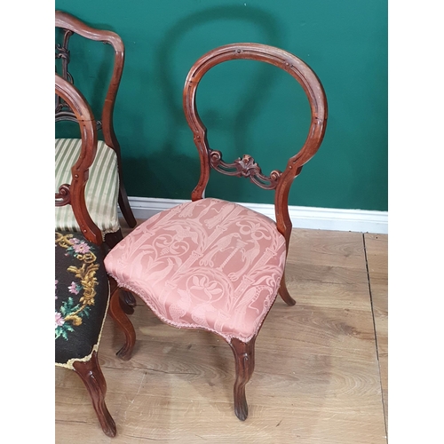 533 - A set of five Victorian rosewood Dining Chairs, another pair of balloon back Dining Chairs and anoth... 