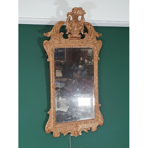 557 - A gilt framed Wall Mirror with elaborate scrolled surmount above the bevelled plate, 3ft 4in H (amen... 