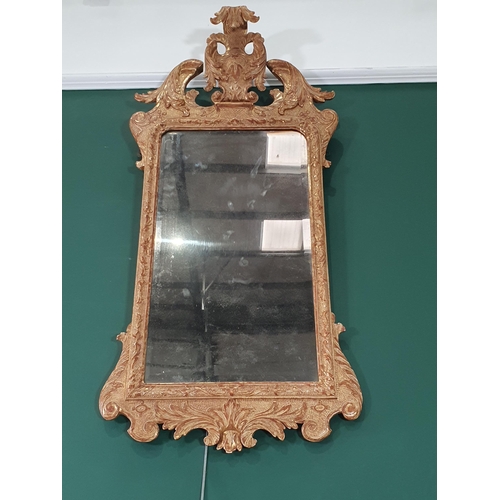 557 - A gilt framed Wall Mirror with elaborate scrolled surmount above the bevelled plate, 3ft 4in H (amen... 