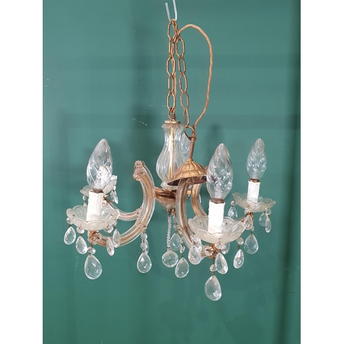 559 - Two pairs of brass and glass two branch Wall Lights and a five branch Electrolier 1ft 8in D x 1ft H ... 