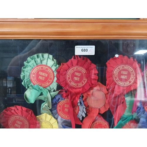 680 - Three glazed Cases of Horse Show Rosettes (R10)