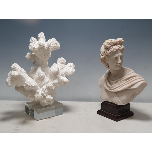 722 - A marble effect classical Bust 1ft H and a piece of *simulated* Coral 1ft H (R7) *AMENDMENT*