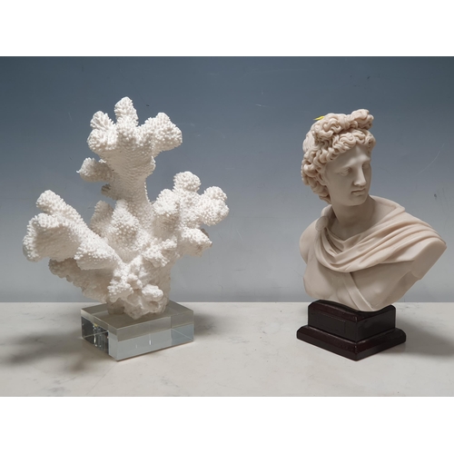 722 - A marble effect classical Bust 1ft H and a piece of *simulated* Coral 1ft H (R7) *AMENDMENT*