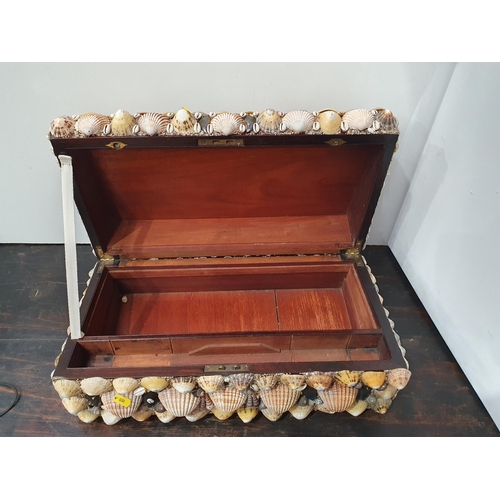 594 - A shell covered Box 1ft 9in W x 9in H (R9)