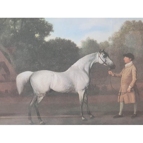 535 - Five framed Prints, mostly in colours, horse subjects (5) (R2)