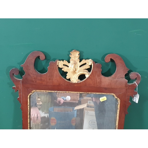 705 - A George III style mahogany Wall Mirror with gilt leafage surmount A/F 2ft 10in H x 1ft 8in W (R10)