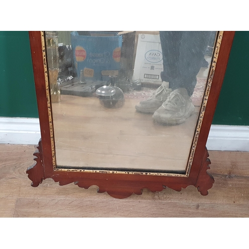 705 - A George III style mahogany Wall Mirror with gilt leafage surmount A/F 2ft 10in H x 1ft 8in W (R10)