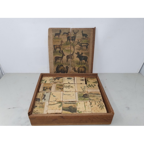 61 - A set of printed paper Building Blocks of animals in original Box, 8 x 10in (R3)