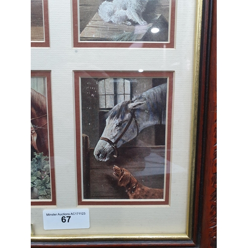 67 - Six early 20th Century Postcards depicting horses and dogs, framed as one, 24 x 14in (R1)