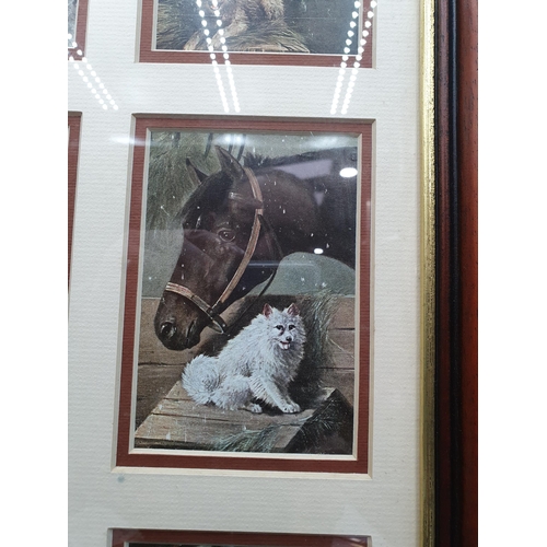 67 - Six early 20th Century Postcards depicting horses and dogs, framed as one, 24 x 14in (R1)