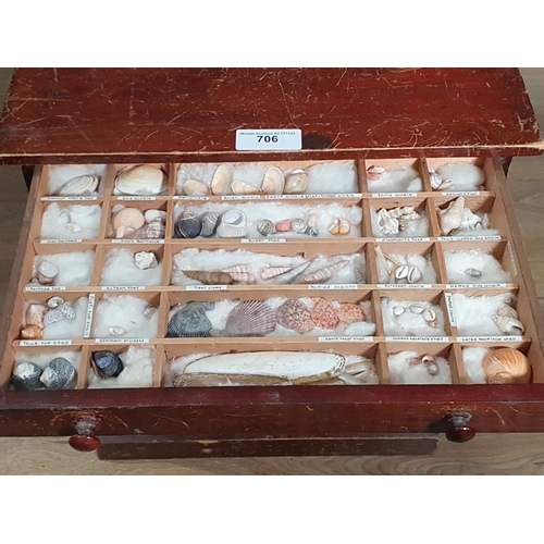 706 - A stained wood Table Top Collector's Chest with multiple drawers containing shells, rocks, etc, 18in... 