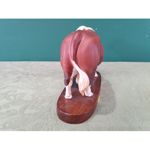 841 - A Connoisseur model by Beswick of a polled Hereford Bull on wooden plinth, 11in