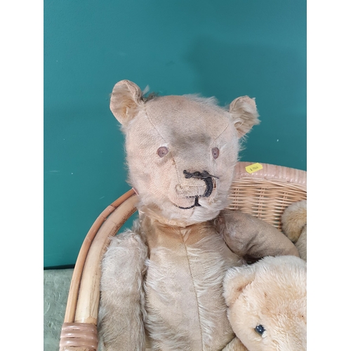 844 - An old plush Teddy Bear with jointed limbs, 20in L worn, two small Teddy Bears, all sat in a small c... 