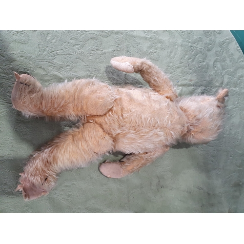 844 - An old plush Teddy Bear with jointed limbs, 20in L worn, two small Teddy Bears, all sat in a small c... 