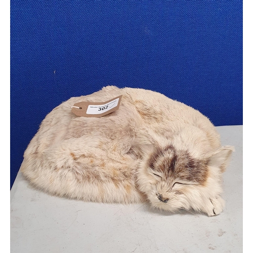 302 - A rabbit skin model of 'Mrs Chippy', the ship's Cat from H.M.S. Endurance (R5)