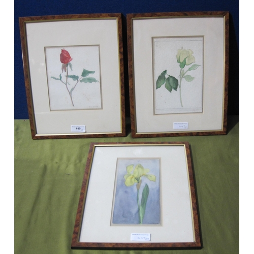 419 - MARY SPRAGUE. Still Life Studies of a red Rose; a yellow Rose; and a Daffodil, signed, watercolours,... 