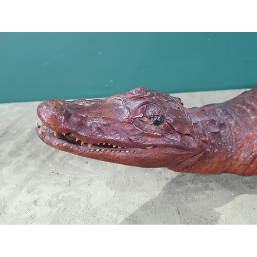 4 - An antique taxidermy juvenile Crocodile A/F 2ft 6in L (R10)