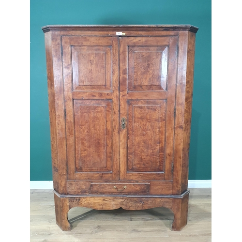 483 - A large elm Corner Cupboard on Stand with pair of panelled doors above single fitted drawer, 5ft 11