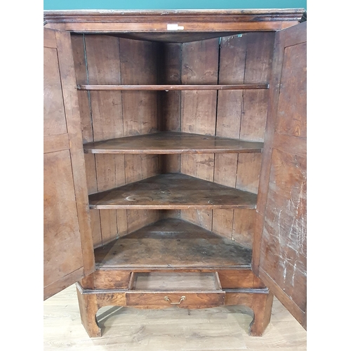 483 - A large elm Corner Cupboard on Stand with pair of panelled doors above single fitted drawer, 5ft 11