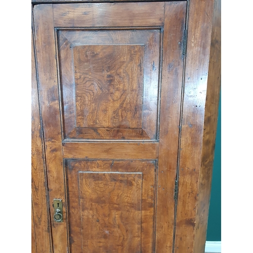 483 - A large elm Corner Cupboard on Stand with pair of panelled doors above single fitted drawer, 5ft 11