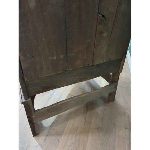 483 - A large elm Corner Cupboard on Stand with pair of panelled doors above single fitted drawer, 5ft 11