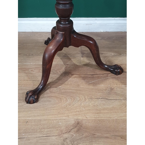 525 - A mahogany tilt top Occasional Table, with pie crust top on bird cage, with turned column on splayed... 