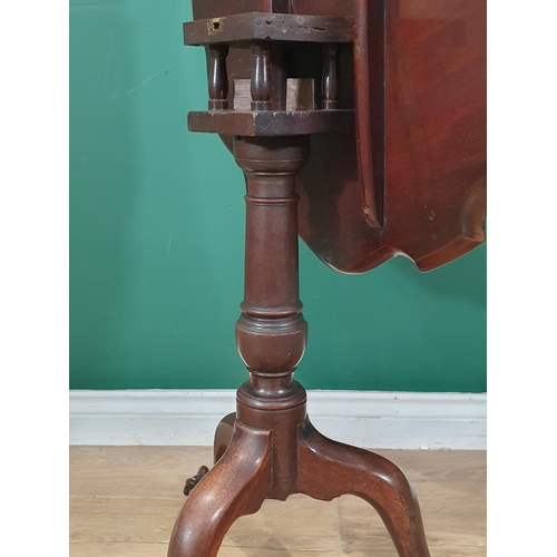 525 - A mahogany tilt top Occasional Table, with pie crust top on bird cage, with turned column on splayed... 