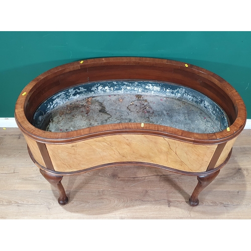 539 - A 19th Century Irish walnut kidney shaped Wine Cooler, the sides painted faux veined marble, raised ... 