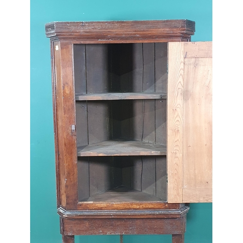 583 - An antique elm Corner Cupboard on stand 5ft 5in H x 2ft 9in W (R7)