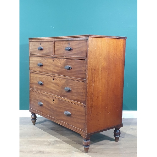 586 - A 19th Century mahogany Chest of two short and three long drawers raised on turned supports 3ft 5in ... 