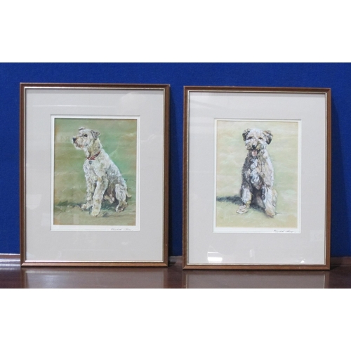 408 - MYRTLE S. TRENCH. Two Dog Portraits, signed and dated 1971, 14 x 20 in;; a further two similar signe... 