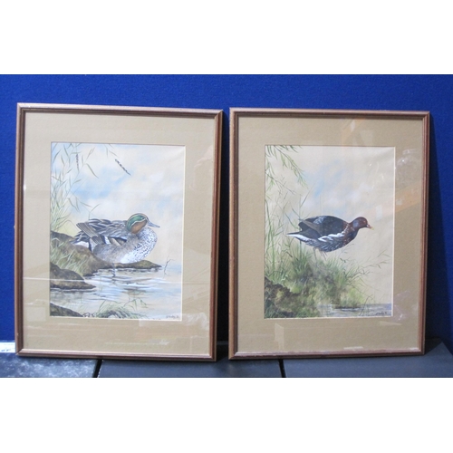 426 - G.L.WOODLEY. Teal ; Great Crested Grebe; Moorhen, three signed and dated (19)76, watercolour, 14 x 1... 